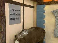 -世界之窗阿尔卑斯冰雪世界