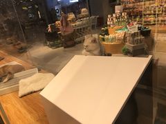 -狗道宠物(常熟印象城店)