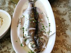 清蒸白水鱼-鸿一饭店(隐秀路店)