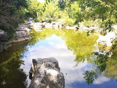 -吴淞炮台湾湿地森林公园烧烤区