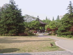 照片-6292-江湾公园