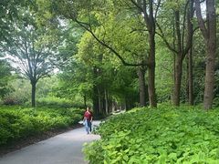 -上海滨江森林公园