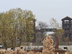 -绿堤公园