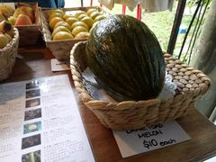 -热带雨林自然公园