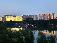 -青枫公园