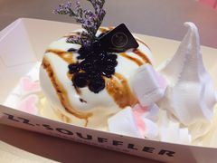 -狐狸和向日葵(北京路店)