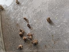 -无锡动物园·太湖欢乐园