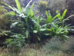 -黔灵山公园-南门售票处