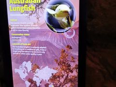 -悉尼海洋生物水族馆