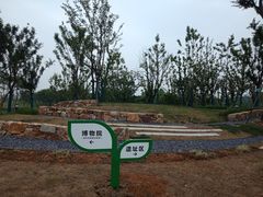 -盘龙城遗址博物院