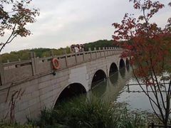 -昆山城市生态森林公园