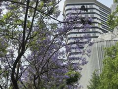 -成都市活水公园
