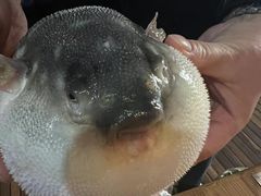 -永安鱼庄·镇江菜(丁卯店)