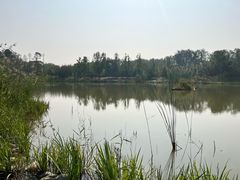 -永定河休闲森林公园