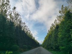 -凤凰山国家森林公园