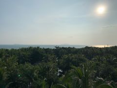 -三亚湾海居铂尔曼度假酒店