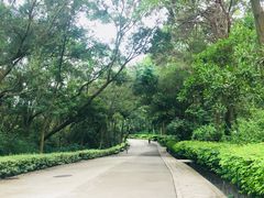 -狐尾山公园