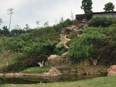 -秀丽东方