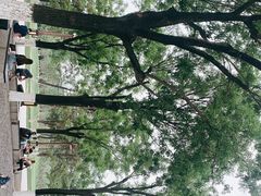 -大明宫国家遗址公园·御道广场