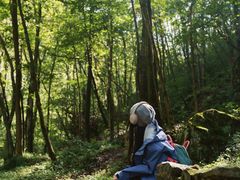 -牛背梁国家森林公园