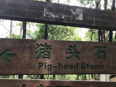 -火炉山森林公园