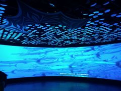 android_upload_pic-同济大学四平路校区深海探索馆