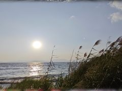 -捞渔河湿地公园