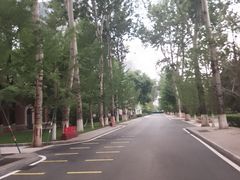 -北京科技大学-游泳馆