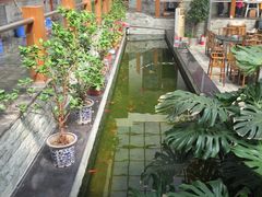 -燕北云山·农家菜·灶台鱼(密云溪翁庄店)