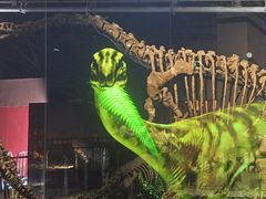 -世界恐龙谷景区