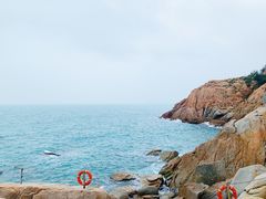 -广东惠东海龟国家级自然保护区