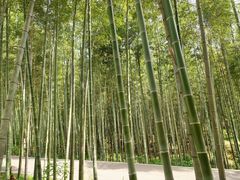 -咸宁万豪温泉谷度假区