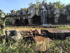 -海南热带野生动植物园