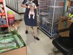 -圣宠宠物(北京疃里丛林市场店)