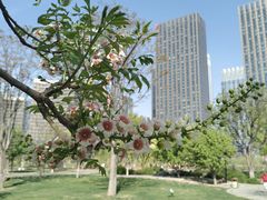 -西海子公园