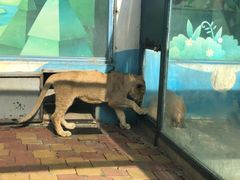 -大连森林动物园