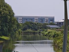 -江滩湿地公园