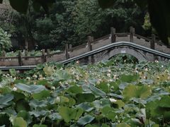 -成都市文化公园