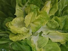 -九孔·筒骨莲藕汤锅(大明宫万达店)