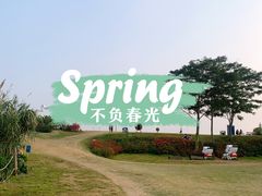 -光明小镇欢乐田园
