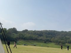 -羊山湖公园