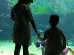 -西海国立公园九十九岛水族馆
