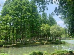 -新洲生态园
