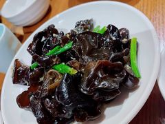拌黑木耳-好嫂子酱猪手•农家菜(华远坊店)