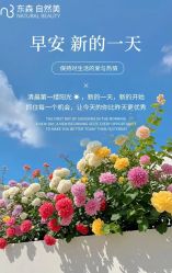 -东森自然美.INDIBA.美容SPA.皮肤管理
