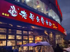 -老号尤兔头(幸福店)