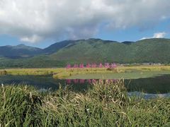 -腾冲北海湿地