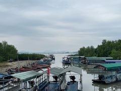 -盐洲岛