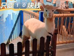 -常州海昌海洋探索馆