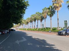 -南沙十九涌渔人码头-南门